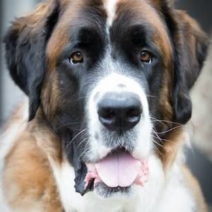 Meet your Posher, Marianne